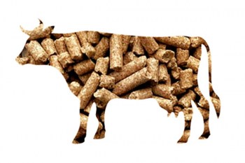 cowka
