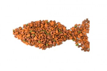 fishka